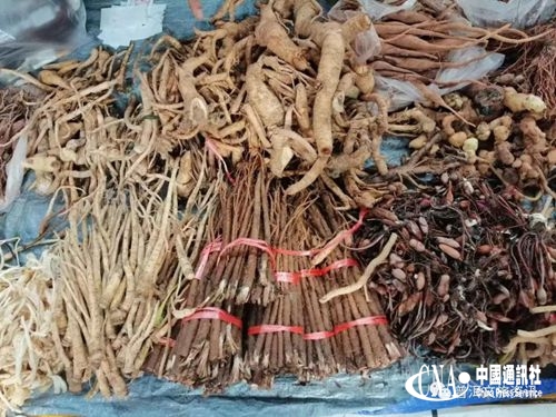 ٲݸ.jpg
