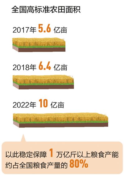 rmrb2019120801p15_b.jpg